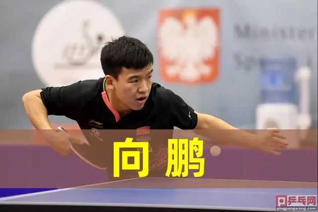 己是未来的 己是未来的