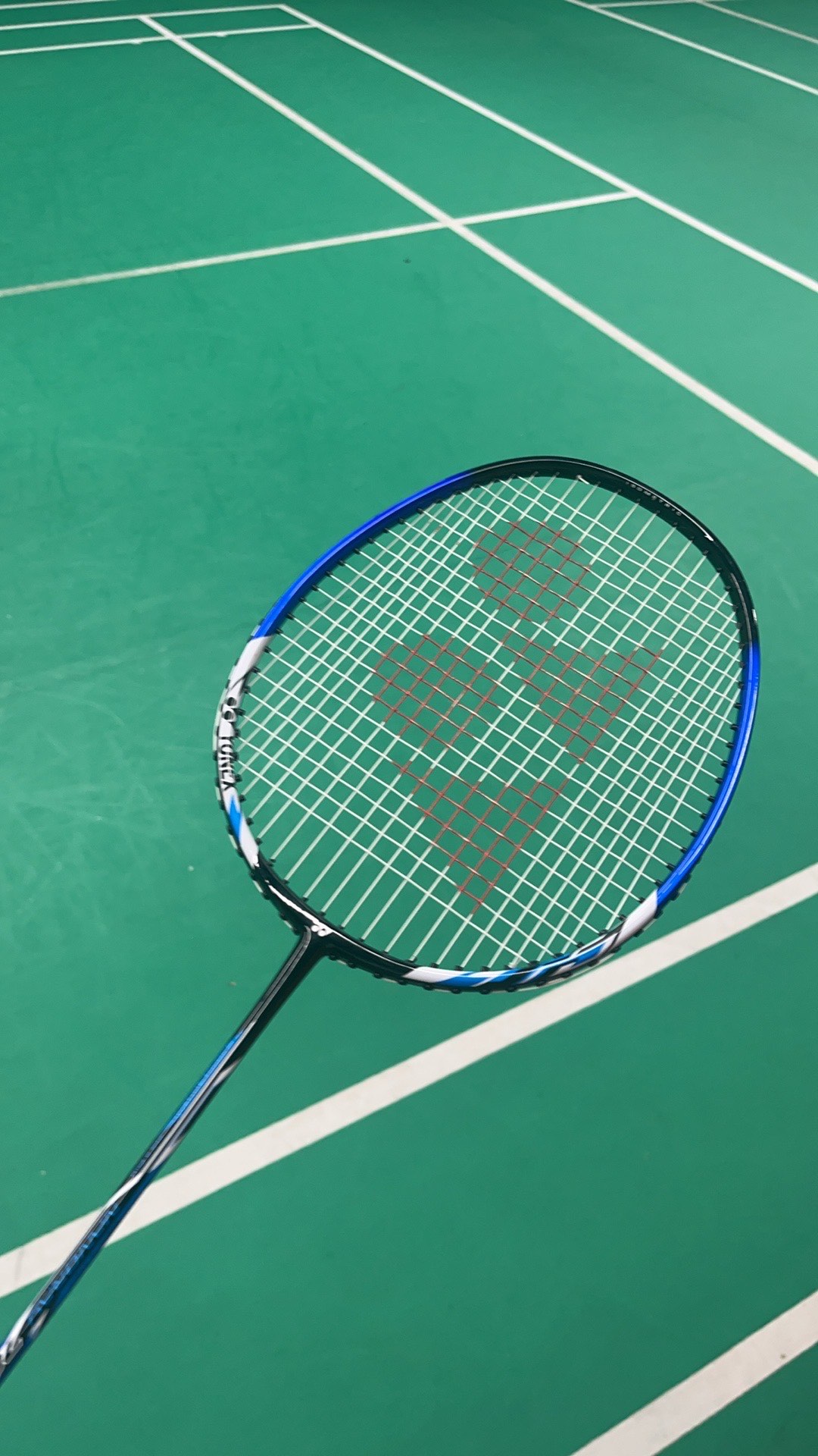 桩在大龙团 桩在大龙团