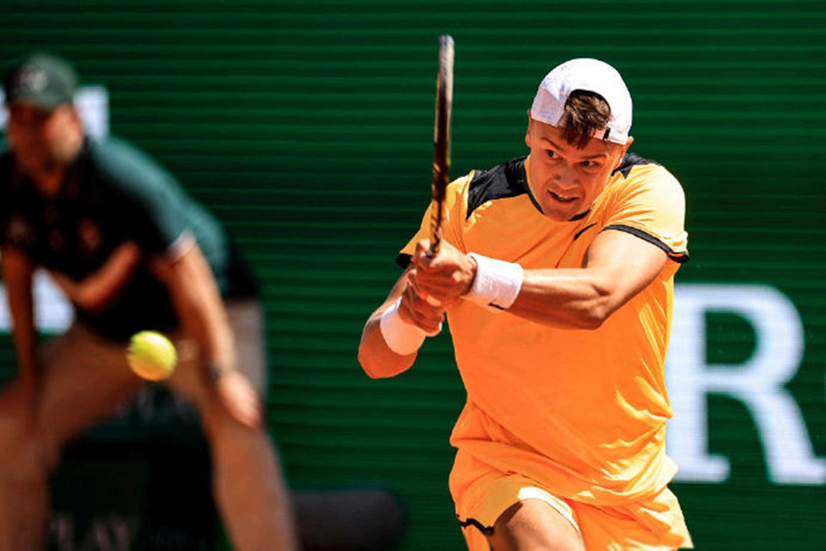 的IP外观 的IP外观